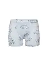 Donella 758102 Оптом Турция Трусики для Мальчиков Boxer (Ассорти) 10 шт/уп Donella 758102 Фабрика Купить Оптом с Турция