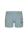 Donella 7571PB20 Оптом Турция Трусы Боксеры для Мальчиков Boxer (Ассорти) 10 шт/уп Donella 7571PB20 Фабрика Купить Оптом с Ту...
