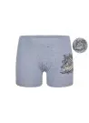Donella 7581B6 Оптом Турция Трусы Боксеры для Мальчиков Boxer (Ассорти) 10 шт/уп Donella 7581B6 Фабрика Купить Оптом с Турция