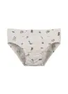 Donella 768106 Оптом Турция Трусы для Мальчиков (Ассорти) 10 шт/уп Donella 768106 Фабрика Купить Оптом с Турция