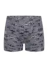 Donella 858116 Оптом Турция Трусы Боксеры для Мальчиков Boxer (Ассорти) 10 шт/уп Donella 858116 Фабрика Купить Оптом с Турция