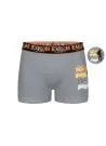 Donella 8071PB41 Оптом Турция Трусы Боксеры для Мальчиков Boxer (Ассорти) 10 шт/уп Donella 8071PB41 Фабрика Купить Оптом с Ту...